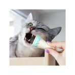 Enerji Sınıfı A Dondurma Şeklinde Kedi Nanesi
