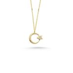 Engin Gold 14 Ayar Altın Taşlı Ayyıldız Kolye