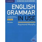 English Grammar in Use BLUE Intermediate 5th Ed Book with answers