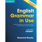 English Grammar in Use