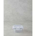 English Home Arian Borosilikat Saklama Kabı 520 ml Şeffaf - Ekru - Cam