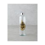 English Home Harry Potter Cam Lisanslı Şişe 500 ml Renkli