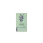 English Home Lavanta Esintisi Kokulu Mint 19 gr Kese