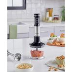 English Home MBS 3001 Siyah Krom Mini Blender Seti
