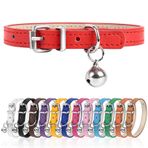 Engorgio XS Çay Fincanı için Köpek Tasması Ayarlanabilir Çay Fincanı Köpek Tasması Küçük Orta Büyük Köpekler için 3/8" Genişlik (XS, Kırmızı)