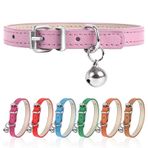 Engorgio XXS Çay Fincanı için Köpek Tasması Ayarlanabilir Çay Fincanı Köpek Tasması Küçük Orta Büyük Köpekler için 3/8" Genişlik (XXS, Pembe)