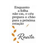Enquanto a folha não cai, o céu prepara o chão para a próxima estação