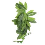Entatial T-044 30 cm Yapay Teraryum Akvaryum Bitkisi