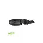 Enva Citroen C3 Cruise Control Hız Sabitleme Kolu 2003 - 2018