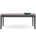 Enza Home Berta 200x100 cm Masa