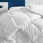Enza Home Lucy Yorgan