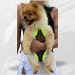 Epatim Kedi Köpek Ana Kucağı - XL - Fıstık Yeşili
