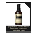 Ephesus Natural Care Çizgi Azaltıcı, Esneklik Artırıcı, Antioksidan Destekleyici Anti-aging Krem – Well Aging Cream