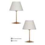 Epifanio TWO-004 Eskitme Mat Gold Metal Abajur