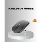 Epilons Kablosuz Mouse – Ayarlanabilir, Ergonomik - Çok Renkli