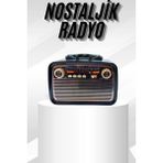 Epilons Müzik Kutusu Bluetooth Bağlantılı El Fenerli Nostaljik Tasarım Radyo - Renkli