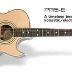 Epiphone EEP5NAGH1 PR-5e Natural Gld Hdwe Elektro Akustik Gitar