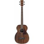 Epiphone Ibanez PCBE12MH-OPN Open Pore Natural Elektro Akustik Bas Gitar