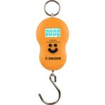 Erbuse Dijital El Terazisi Kantar 50 Kg