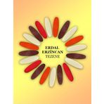 Erdal Erzincan Tezene (20'Li Set)