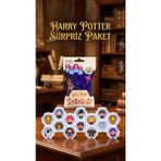 Erdo Ticaret Buğz Harry Potter Koleksiyon Sürpriz Figür Seti Ünlü Karakterler - Renkli