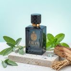Ereva E-15 Kenzo Aura Erkek Parfümü Edp 100ML - 100 ml