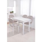 Erezogulları Mobilya Melisa Hilal Lak Panel Açılır Mutfak Masa Sandalye Takımı 60x100