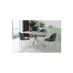 Erezoğulları Mobilya Polo Çapraz High Gloss Yemek Masa Sandalye Takımı 90X180cm