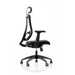 Ergonomik Çalışma Koltuğu