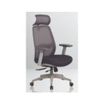 Ergonomik Yönetici/Çalışma Koltuğu
