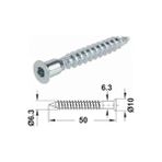 Ergün Store Kabin Vidası Allen , Alyan Sivri Uç 6.3X50 Galvanizli ( 25 Adet )