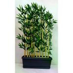 ERHAN FLOWERS 10'lu 100 cm bambu plastik saksı bmb.plst.100