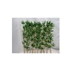 ERHAN FLOWERS 120 Cm 10 Adet Yapay Bambu Bambu_120