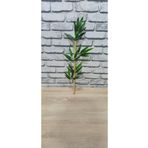 ERHAN FLOWERS 60 Cm Yapay Bambu Çubukları 10 Adet Bambu.60