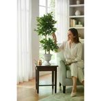 ERHAN FLOWERS bnj-140-190 Yapay Çiçek Nergiz Saksıda Benjamin Ev Ağacı Yeşil Bitkisi Bambu Gövdeli Dolgun 165-125 Cm