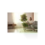 ERHAN FLOWERS bnj-140-190 Yapay Çiçek Nergiz Saksıda Benjamin Salon Ev Ağacı Yeşil Bitkisi Bambu Gövdeli Dolgun 125-85 Cm