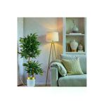 ERHAN FLOWERS bnj.byz Yapay Çiçek Beyaz Gold Benjamin Salon Balkon Ev Ağacı Yeşil Bitkisi Bambu Gövdeli Dolgun