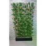 ERHAN FLOWERS ÇİÇEK & DEKORASYON 100 cm Mdf Siyah Saksıda 100 cm Bambu Seperatör SP-100S