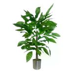 ERHAN FLOWERS ÇİÇEK & DEKORASYON 110 Cm Ceviz Ağaçı Dogal Gövdeli Metal Plastık Saksı ypy.agç.00122