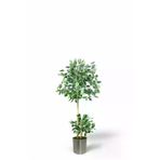 ERHAN FLOWERS ÇİÇEK & DEKORASYON 110 Cm Ficus Yapay Ağaç Bambu 2 Gövdeli Metal Saksı ypy.agç.00293