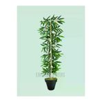 ERHAN FLOWERS ÇİÇEK & DEKORASYON 120 Cm Bambu Ağacı erh.2050