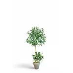 ERHAN FLOWERS ÇİÇEK & DEKORASYON 150 Cm Ficus Yapay Ağaç Bambu 2 Gövdeli Beyaz Plastik Saksı ypy.agç.00303