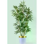 ERHAN FLOWERS ÇİÇEK & DEKORASYON 150 Cm Islak Doku Bambu Ağaç Beyaz Gold Saksıda erh.10014
