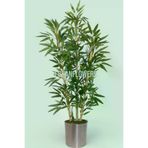 ERHAN FLOWERS ÇİÇEK & DEKORASYON 150 Cm Islak Doku Bambu Ağaç Gümüş Metal Saksıda erh.10015