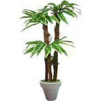 ERHAN FLOWERS ÇİÇEK & DEKORASYON 160 Cm 3 Gövdeli Yapay Palmıye Yuka Agacı Beyaz Plastik Saksı ypy.agç.00386