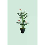 ERHAN FLOWERS ÇİÇEK & DEKORASYON 160 Cm Gala Agacı Siyah Plastik Saksıda erh.10026