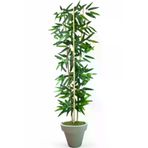 ERHAN FLOWERS ÇİÇEK & DEKORASYON Dekoratif Yapay Yapraklı 3 Gövde Bambu Ağacı 140 Cm Bambu Beyaz Plastık Saksı TYC6062277cd928cf5c782b5