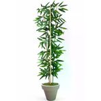 ERHAN FLOWERS ÇİÇEK & DEKORASYON Dekoratif Yapay Yapraklı 3 Gövde Bambu Ağacı 190 Cm Bambu Beyaz Plastık Saksı ypy.agç.00193