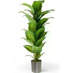ERHAN FLOWERS ÇİÇEK & DEKORASYON Yapay Ağaç Difenbahya 170 Cm Metal Saksı ypy.agç.00029