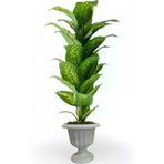 ERHAN FLOWERS ÇİÇEK & DEKORASYON Yapay Ağaç Difenbahya 170 Cm Nergiz Plastık Saksı ypy.agç.00022